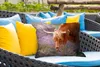 MuchoWow® Outdoor Kissen - Schottisches Hochlandrind - Produktbild-Vorschau 4