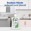 Sagrotan Seife Aloe Vera 6x 250ml Produktbild-Vorschau 8