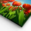 Bild auf Leinwand - Leinwandbild - Tulpe Blume blauer Produktbild-Vorschau 5