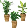 3x Luftreinigungskörbe Mix – Luftreinigung – ⌀12 cm - Produktbild-Vorschau 1