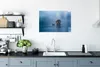 MuchoWow® Poster Affe - Japanisch - Wasser - Tiere - Natur Produktbild-Vorschau 4