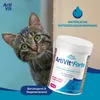 A cat is looking at the camera next to a product container. Náhľad obrázku produktu