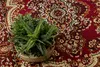 Teppich BCF Morad WIOSNA Klassisches Ornament - Weinrot rot Produktbild-Vorschau 5