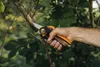 A hand holding pruning shears and cutting a branch of a tree. Produktbild-Vorschau