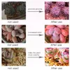 Collage showing before and after images of succulents treated with a plant growth product. Náhľad obrázku produktu