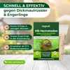 HB-Nematoden gegen Dickmaulrüssler und Engerlinge - 1 Mio Produktbild-Vorschau 2