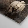 Bilder auf glas - Tier Nashörner Insekten - 30x30cm - Produktbild-Vorschau 5