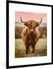 MuchoWow® Gerahmtes Poster Schottischer Highlander - Kuh - Produktbild-Vorschau 1