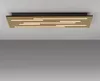 Stropné svietidlo JUST LIGHT LED 15591-79, 25 W, 3000 K, Náhľad obrázku produktu 8
