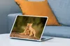 MuchoWow® Laptop Aufkleber Sticker Cover Löwe - Wilde Tiere Produktbild-Vorschau 4