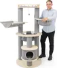 Kratzbaum Harper · beige-anthrazit · ca. 76 x 76 x 168 cm Produktbild-Vorschau 2