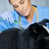 Zeckenzange, Zeckenhaken, Zeckenfallen, Zeckenfallen für Produktbild-Vorschau 4
