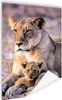 MuchoWow® Poster Löwin - Löwe - Junges 80x120 cm - Produktbild-Vorschau 1