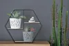 A hexagonal shelf with three potted plants and stacked stones against a gray wall. Produktbild-Vorschau