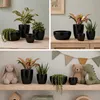 Floran Blumentopf „Boule“ - schwarz - glanzend - Keramik - Produktbild-Vorschau 8
