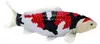 Mojo Sealife Koi Karper - Showa Sanshoku Koi - 381103 Podgląd zdjęcia produktu 4
