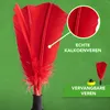 Indiaca Toernooi - Peteca Toernooi - Indiaca voor profs Productafbeelding-voorbeeld 4