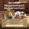 Katzenbrunnen Filter Replacement Set, 6 Aktivkohlefilter, 6 Produktbild-Vorschau 5