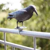 Esschert Design Vogelschreck Krähe; FY18 Produktbild-Vorschau 21
