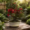 Rhododendron indicum – blühende Azalee – Freiland-Bonsai – Produktbild-Vorschau 3