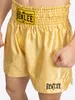 Herren Thaibox-Hose UNI THAI Gold XS BENLEE Produktbild-Vorschau 6