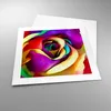 Poster - Poster ohne Rahmen - Blume Farbe Rose - 40x40 cm - Produktbild-Vorschau 3