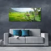 Acrylglasbilder 125x50 Wandbild Druck Wiese Natur Produktbild-Vorschau 2