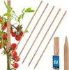 KOTARBAU® 5er Set Pflanzstäbe 80cm Tomaten & Gurken Produktbild-Vorschau 1