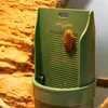 A cockroach is climbing on a green feeding dish in a terrarium. Podgląd zdjęcia produktu