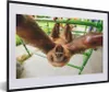MuchoWow® Gerahmtes Poster Faultier - Lustig - Produktbild-Vorschau 1