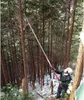 SILKY Forester 4500 Teleskopsäge 3-teilig 2,2–4,5 m | 380 Produktbild-Vorschau 4