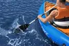 Bestway® Hydro Force® Kajak-Paddel 230 cm Produktbild-Vorschau 10