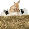 Nobleza - (2.5kg) Kaninchen Wiesenhe, Hauptfutter für  Produktbild-Vorschau 1