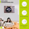 ARTland Leinwandbild Niedlicher kleiner Waschbär Größe: Produktbild-Vorschau 2