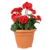 Blumentopf Rund Übertopf Blumenkasten Abmessungen (DxH) 35 Produktbild-Vorschau 5