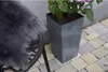 Fioriera con Urbi Quadrata effetto cemento Vaso da giardino Anteprima dell’immagine prodotto 28