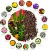 4x tappeto di semi Miscela di semi di fiori per fioriere - Anteprima dell’immagine prodotto 2
