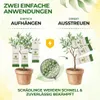 Raubmilben gegen Thripse, Spinnmilben & Weiße Fliegen - 1x Produktbild-Vorschau 3