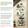 A multi-tiered plant stand with integrated grow lights, showcasing various potted plants. Produktbild-Vorschau
