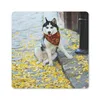 MuchoWow® Mauspad Mousepad Hund - Herbst - Husky 30x30 cm - Produktbild-Vorschau 1