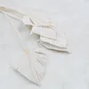 Palmenspeer Getrocknete - (Palm Spear) - Gebleicht Produktbild-Vorschau 4