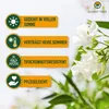 Marketing image with icons and text describing plant features, alongside a photo of white flowers. Náhľad obrázku produktu