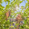 Gardena Premiumcut Pro Gartenschere Silber  Silber One Size Produktbild-Vorschau 5