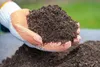 A gloved hand holding a pile of dark soil. Produktbild-Vorschau