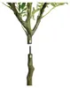 Buxibo Olivenbaum 1,8 Meter – 1224 Blätter – 68 Früchte – Produktbild-Vorschau 8