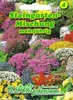 Steingarten Mischung  | Blumensamenmischung von N.L. Produktbild-Vorschau 3