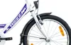 20 Zoll Kinderfahrrad Mädchen Rad mit Rücktrittbremse RH 33 Produktbild-Vorschau 4