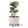 Blumentopf mit Füßen Pflanzkübel D 34 cm Kunststoff Weiß Produktbild-Vorschau 1