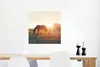 MuchoWow® Poster Pferde - Sonne - Tiere 50x50 cm - Produktbild-Vorschau 5