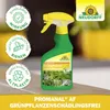 Promanal AF Grünpflanzen SchädlingsFrei Spray gegen Produktbild-Vorschau 5